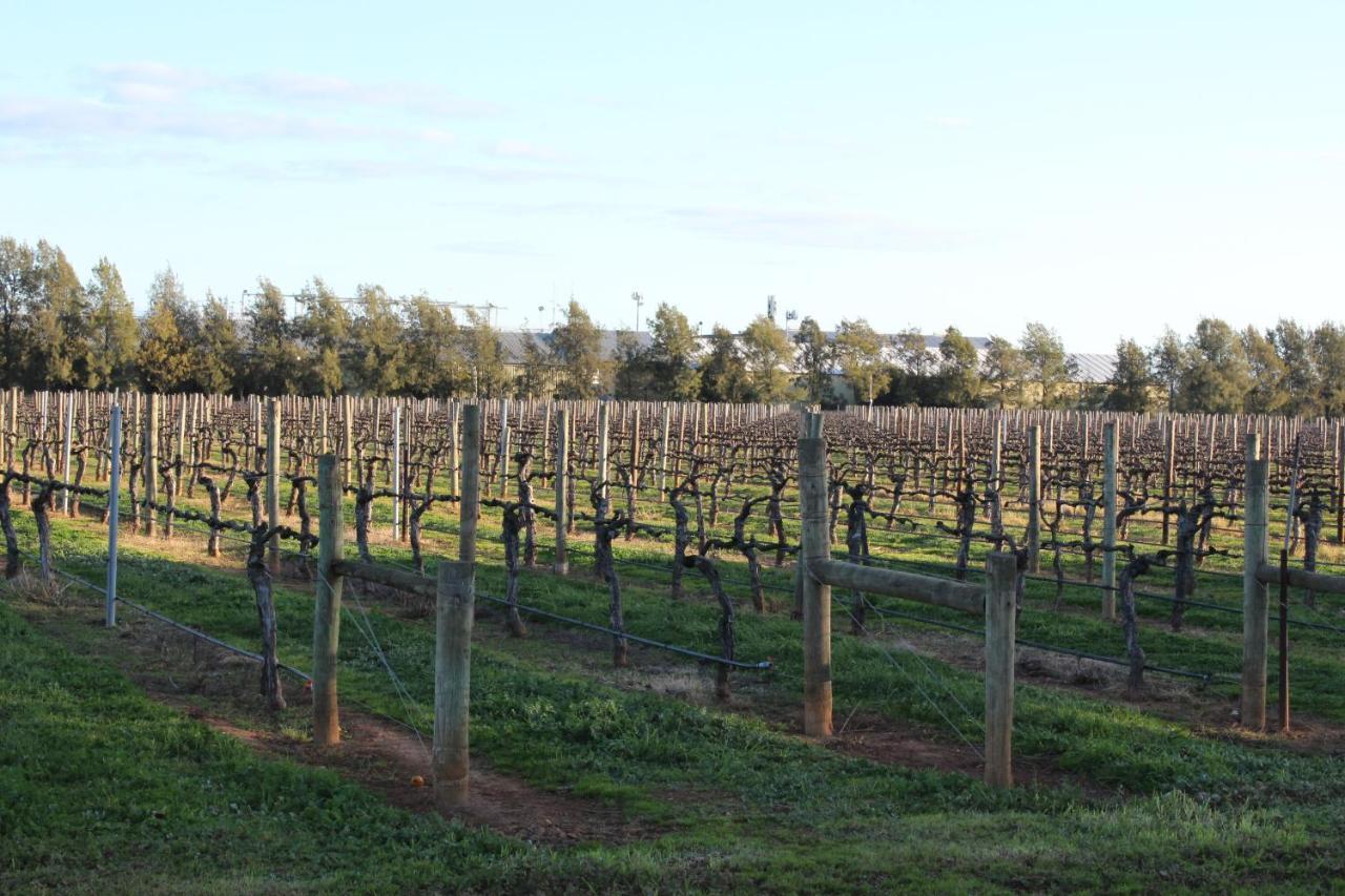 Milawa Vineyard Views - Guesthouse 2 ภายนอก รูปภาพ